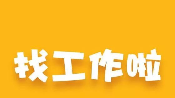 马关招聘网最新招聘动态深度解析及岗位信息速递