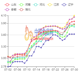 最新鸡蛋价格信息尽在禽病网，中国禽病网发布最新鸡蛋价格动态